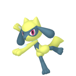 Riolu shiny