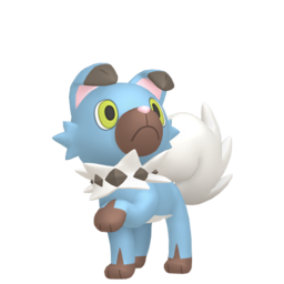 Rockruff shiny