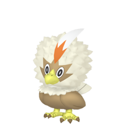 Rufflet shiny