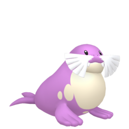Sealeo shiny