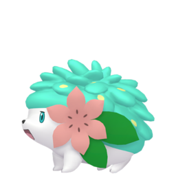 Shaymin (Land Form) shiny