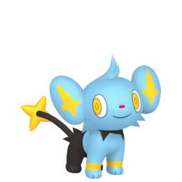 Shinx