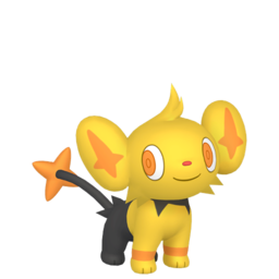 Shinx shiny