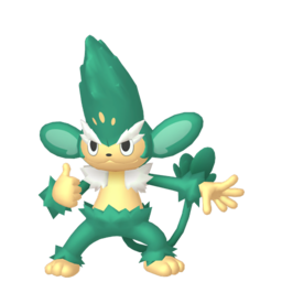 Simisage shiny