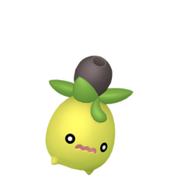 Smoliv shiny
