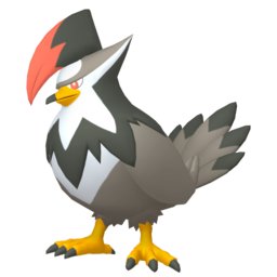 Staraptor