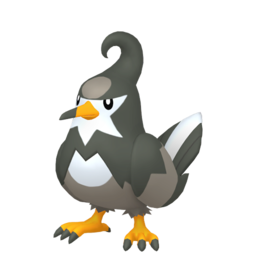 Staravia