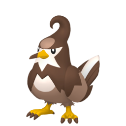 Staravia shiny