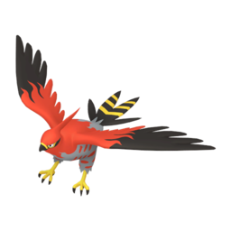 Talonflame