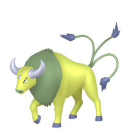 Tauros shiny