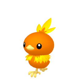 Torchic