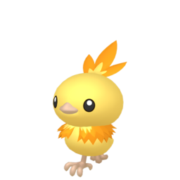Torchic shiny