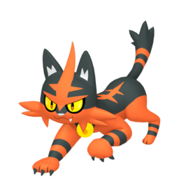 Torracat
