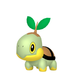 Turtwig