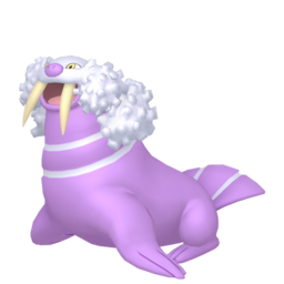 Walrein shiny