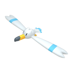Wingull