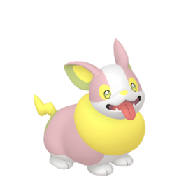 Yamper shiny