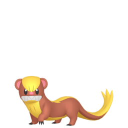 Yungoos