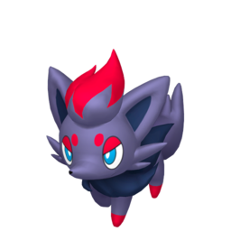 Zorua