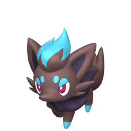 Zorua shiny