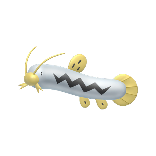 Barboach shiny