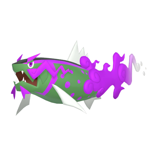 Basculegion shiny