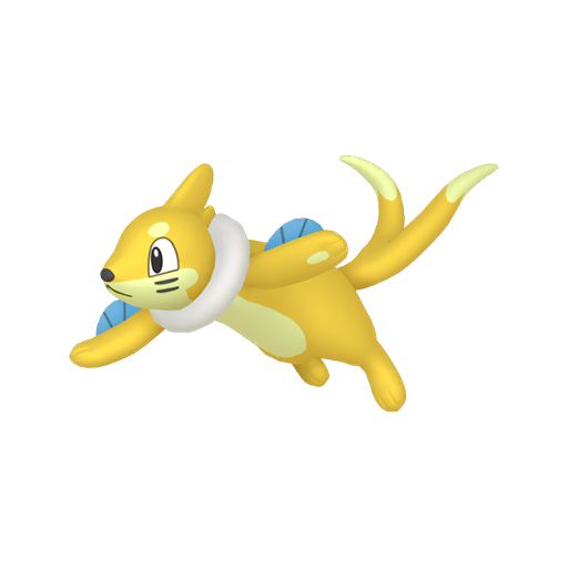 Buizel shiny