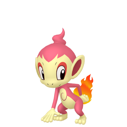 Chimchar shiny