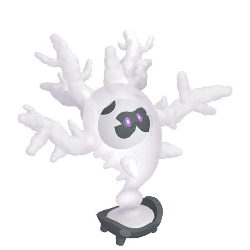 Cursola shiny