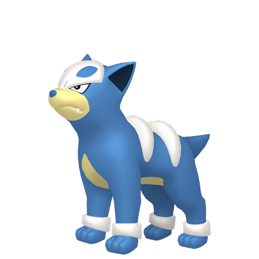 Houndour shiny