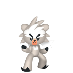 Kubfu shiny