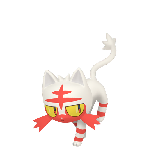 Litten shiny