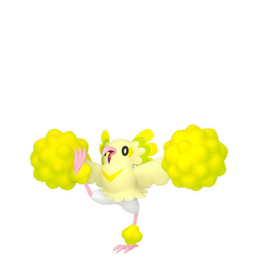 Pom-pom