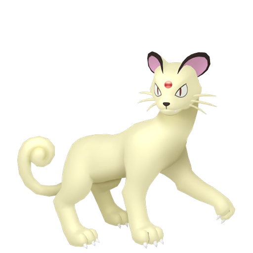 Persian shiny
