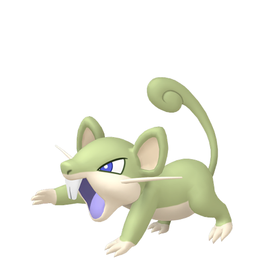 Rattata shiny