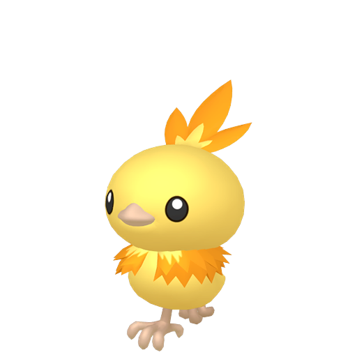 Torchic shiny