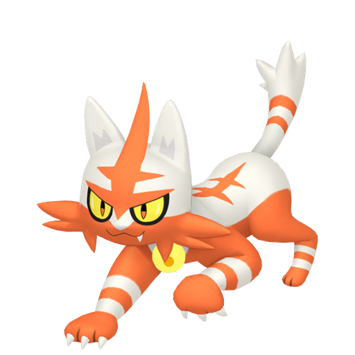 Torracat shiny