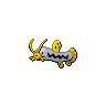 Barboach shiny