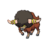 Bouffalant shiny