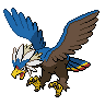 Braviary shiny