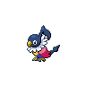 Chatot shiny