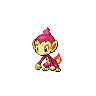 Chimchar shiny