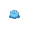 Ditto shiny