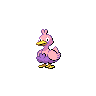 Ducklett shiny