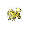 Growlithe shiny