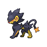 Luxray shiny