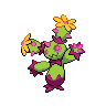 Maractus shiny