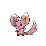 Minccino shiny