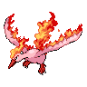 Moltres shiny
