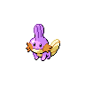 Mudkip shiny